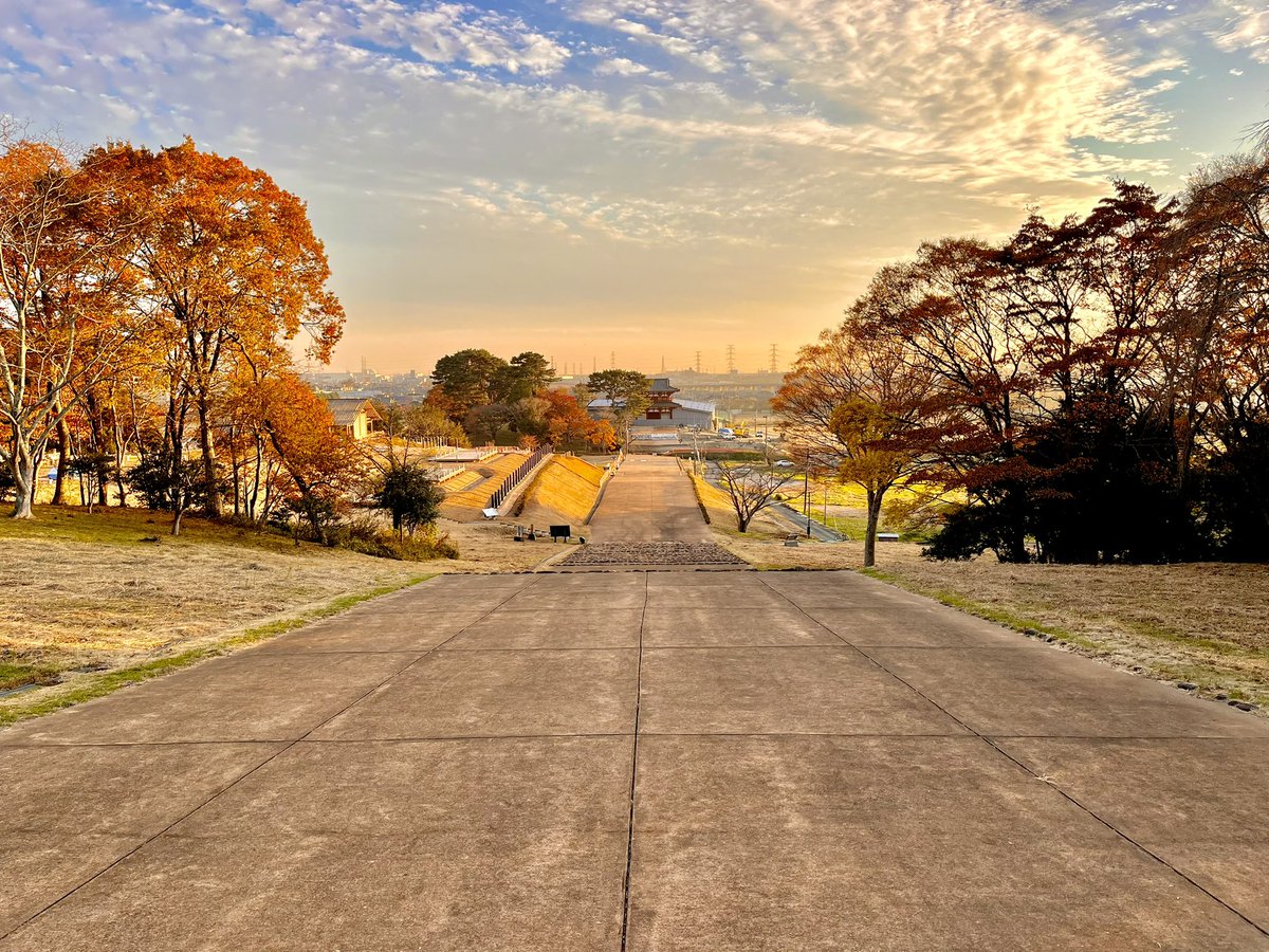 naoki9896's tweet photo. 多賀城跡🏯

先月行ってきました！
落ち着いた雰囲気の城跡を歩くのってとても楽しいです！ https://t.co/yqzXLmV7WE