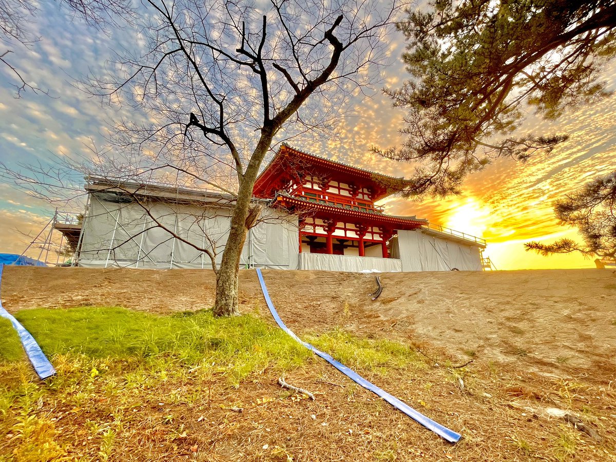 naoki9896's tweet photo. 多賀城跡🏯

先月行ってきました！
落ち着いた雰囲気の城跡を歩くのってとても楽しいです！ https://t.co/yqzXLmV7WE