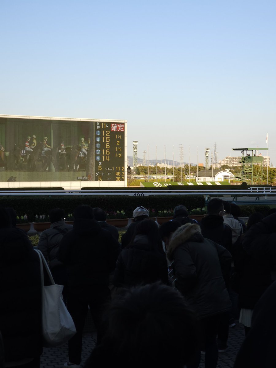 今年の総決算