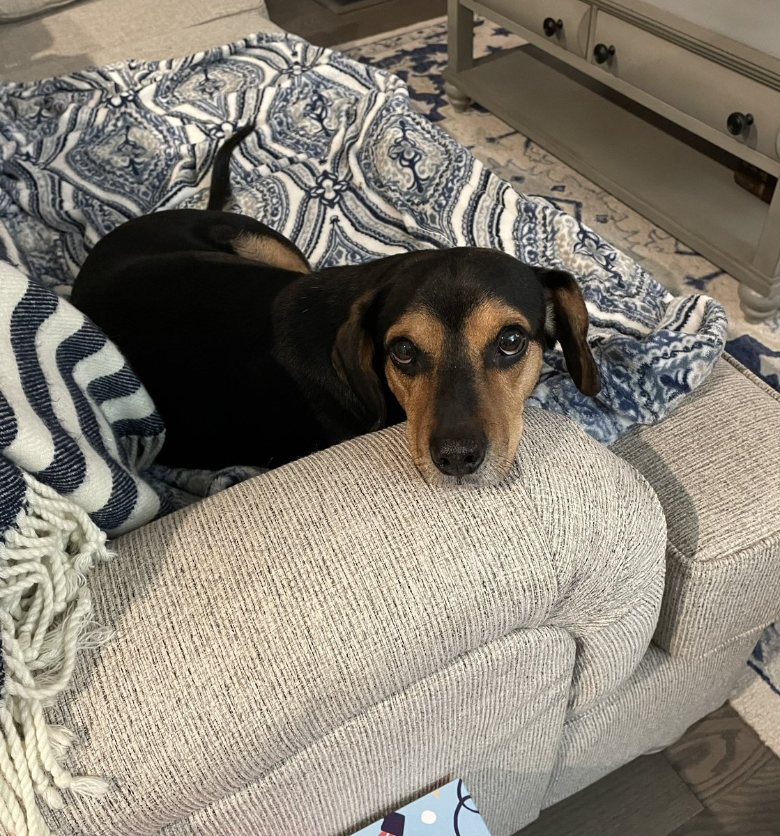 monofred's tweet photo. We’re visiting my parents and he’s turned the charm to 100 https://t.co/bng8cYngjW