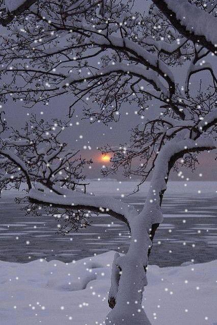 HarminePak's tweet photo. Merry Christmas https://t.co/Rjl1vtSD5t