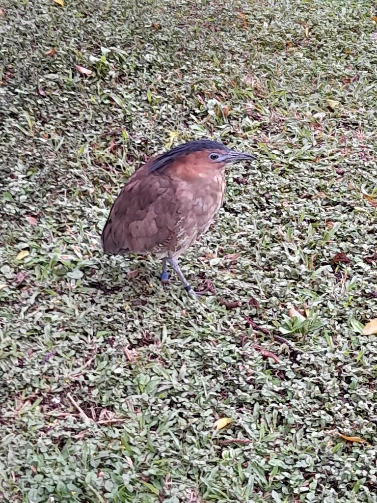 Larus (Ven) ➡️ the Hadopelagic Zone 🍉 tweet media