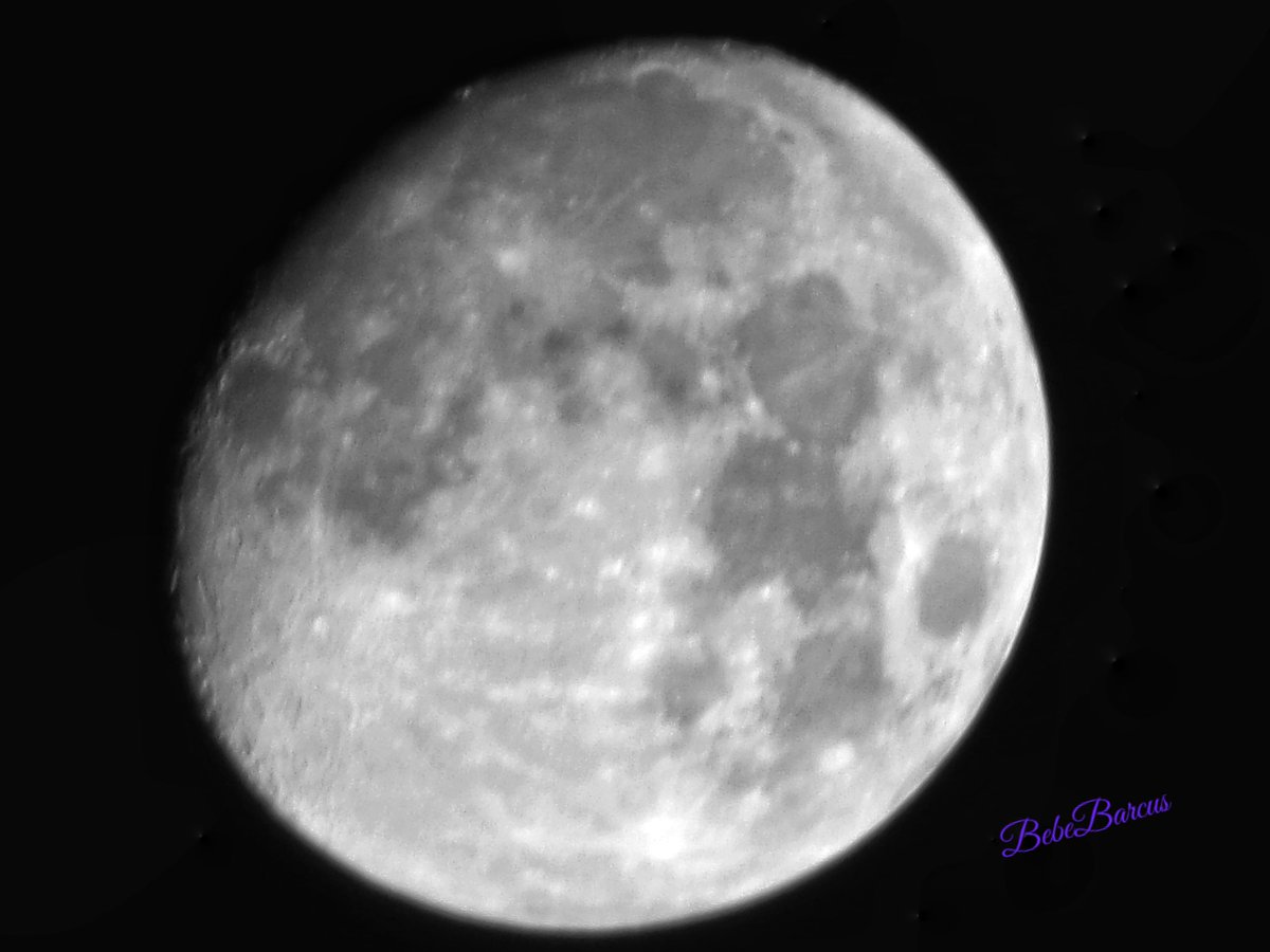 SaltyBebeFL's tweet photo. Clear skies tonight! She stirs, the lady stirsโฆ91.2% waxing gibbous moon. Cold moon. ๐
#florida #welivehere #floridaphotography ##floridalife #NightPhotography #moonfever #moon #waxinggibbous #flwx #StormHour #ThePhotoHour #TwitterNatureCommunity #TwitterNaturePhotography https://t.co/GdVawwM9Gy