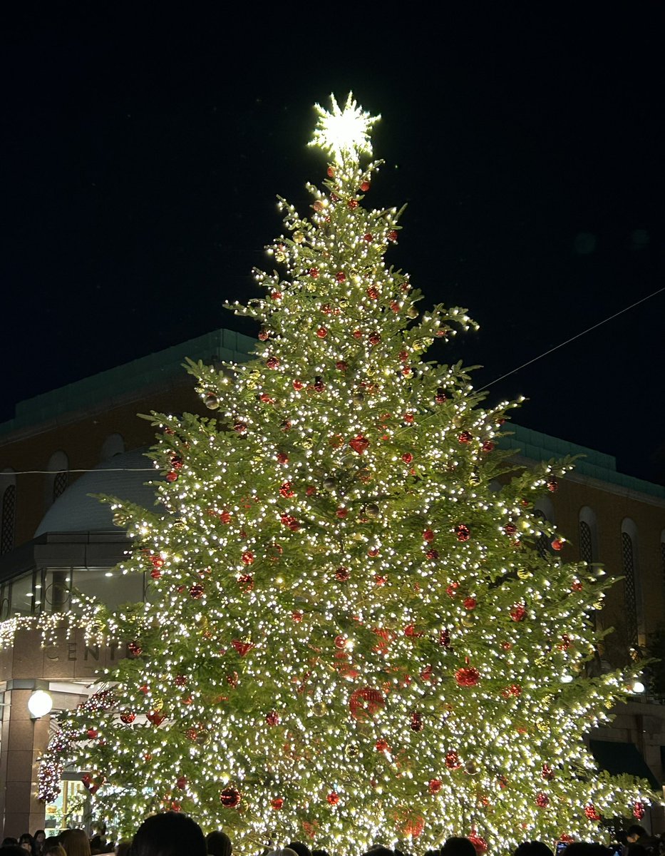 MatsuiRiyoko's tweet photo. Merry Christmas🎄 https://t.co/6c10KXxKqb