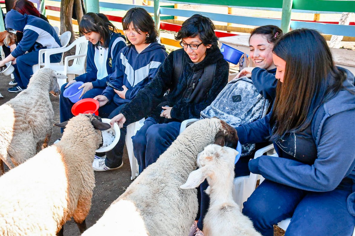 LiceodeCoronel's tweet photo. 🐷🐮🍃| ESTUDIANTES PERTENECIENTES AL PROGRAMA DE INTEGRACIÓN ESCOLAR VISITARON LA GRANJA EDUCATIVA DE PATAGUAL https://t.co/ye4P6j1H0v