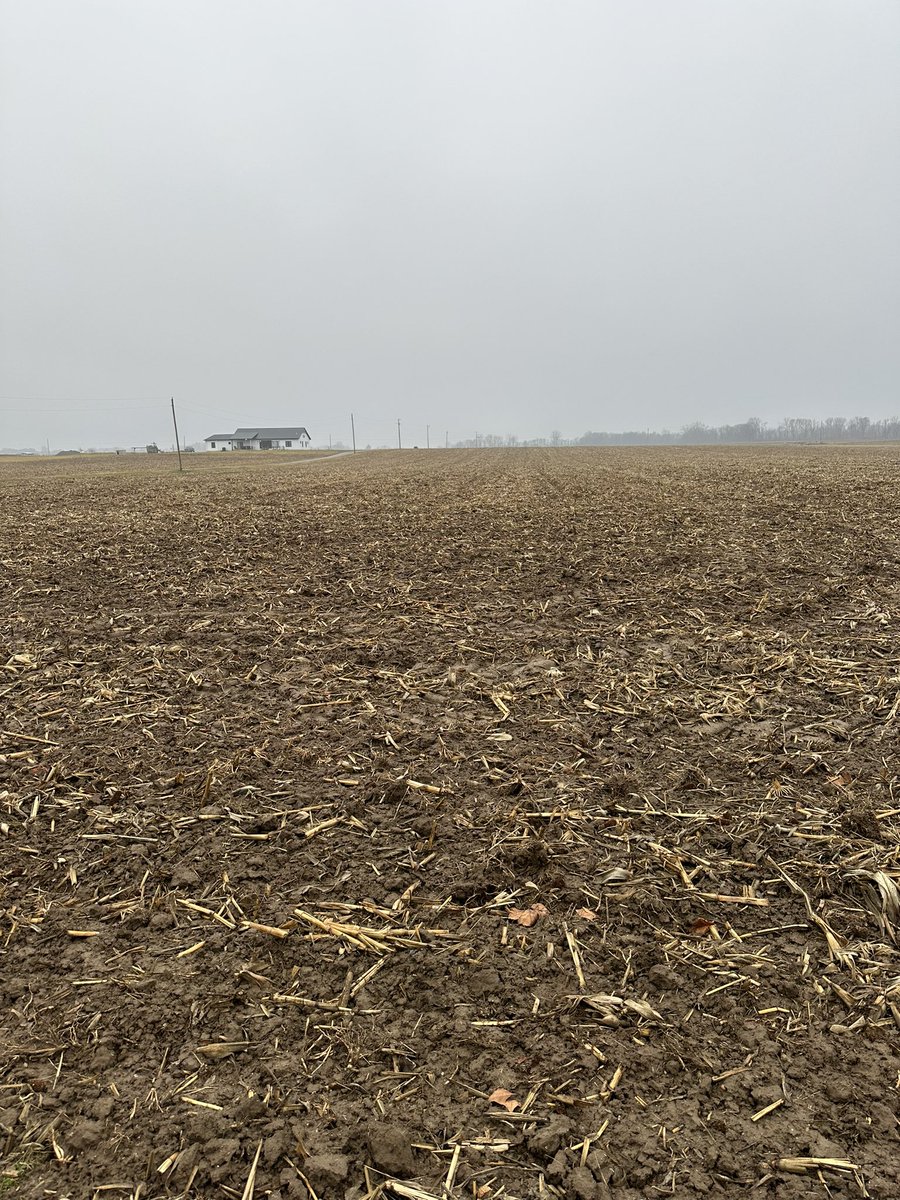 250bu residue. Chiseled, 1000# lime meltdown humical and have caught 2” of rain after spraying meltdown. Excited for next years growing season to be here!