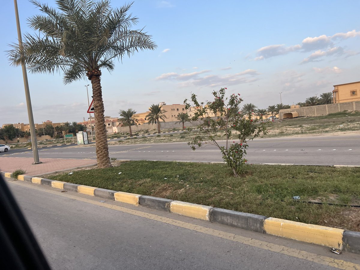 dammamwest's tweet photo. شارع عبدالعزيز من باز الفيصليه انزعاج من سوء النظافه من عمال البلديه و عدم الاهتمام بالمنظر الحضاري للشارع و الزراعه و الحاويات  #مشهد_غير_حضاري #بلدية_غرب_الدمام @WestDammam_Mun @E_AMANA_940 @EasternEamana https://t.co/ARSGY8TNZG