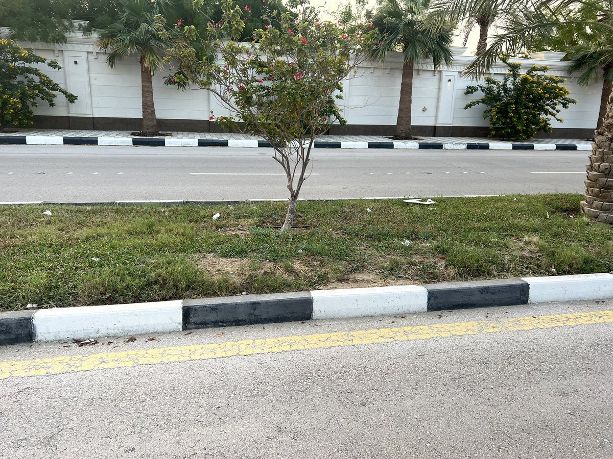 dammamwest's tweet photo. شارع عبدالعزيز من باز الفيصليه انزعاج من سوء النظافه من عمال البلديه و عدم الاهتمام بالمنظر الحضاري للشارع و الزراعه و الحاويات  #مشهد_غير_حضاري #بلدية_غرب_الدمام @WestDammam_Mun @E_AMANA_940 @EasternEamana https://t.co/ARSGY8TNZG