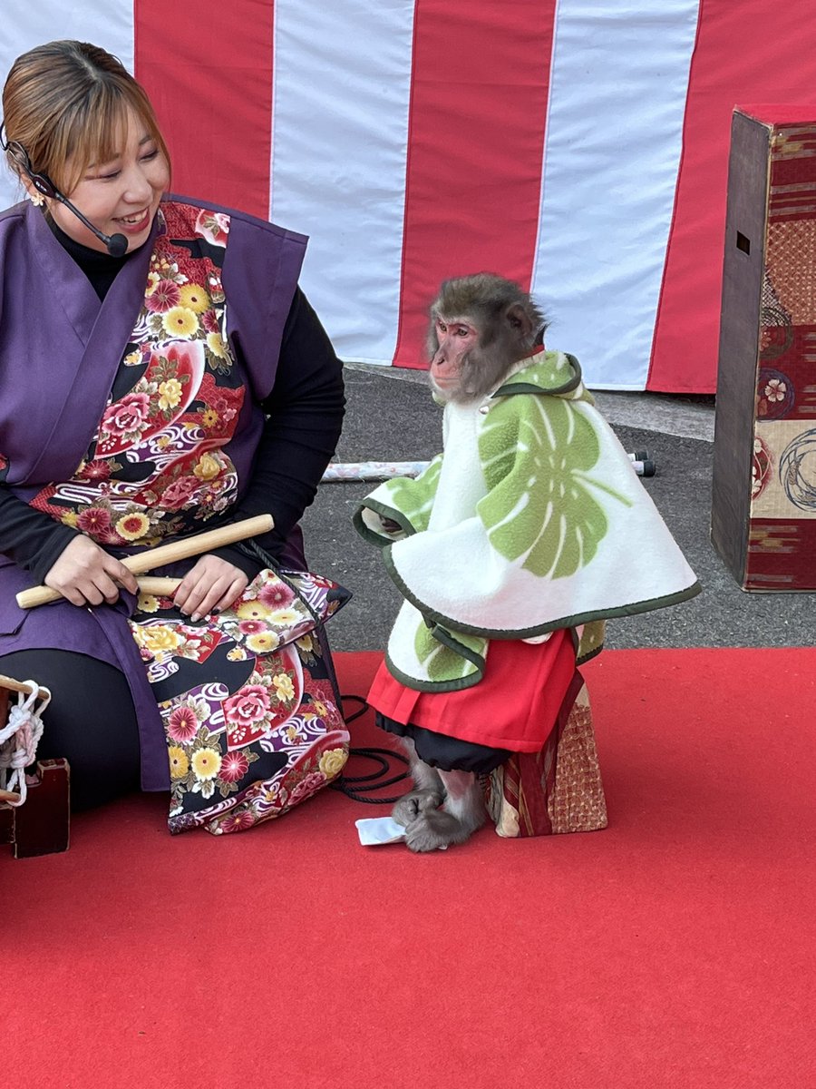 DaiTake_DCO's tweet photo. 有馬で猿回し。寒いのでカイロで温まる猿初めてみた。 https://t.co/zvOBeXlM6d