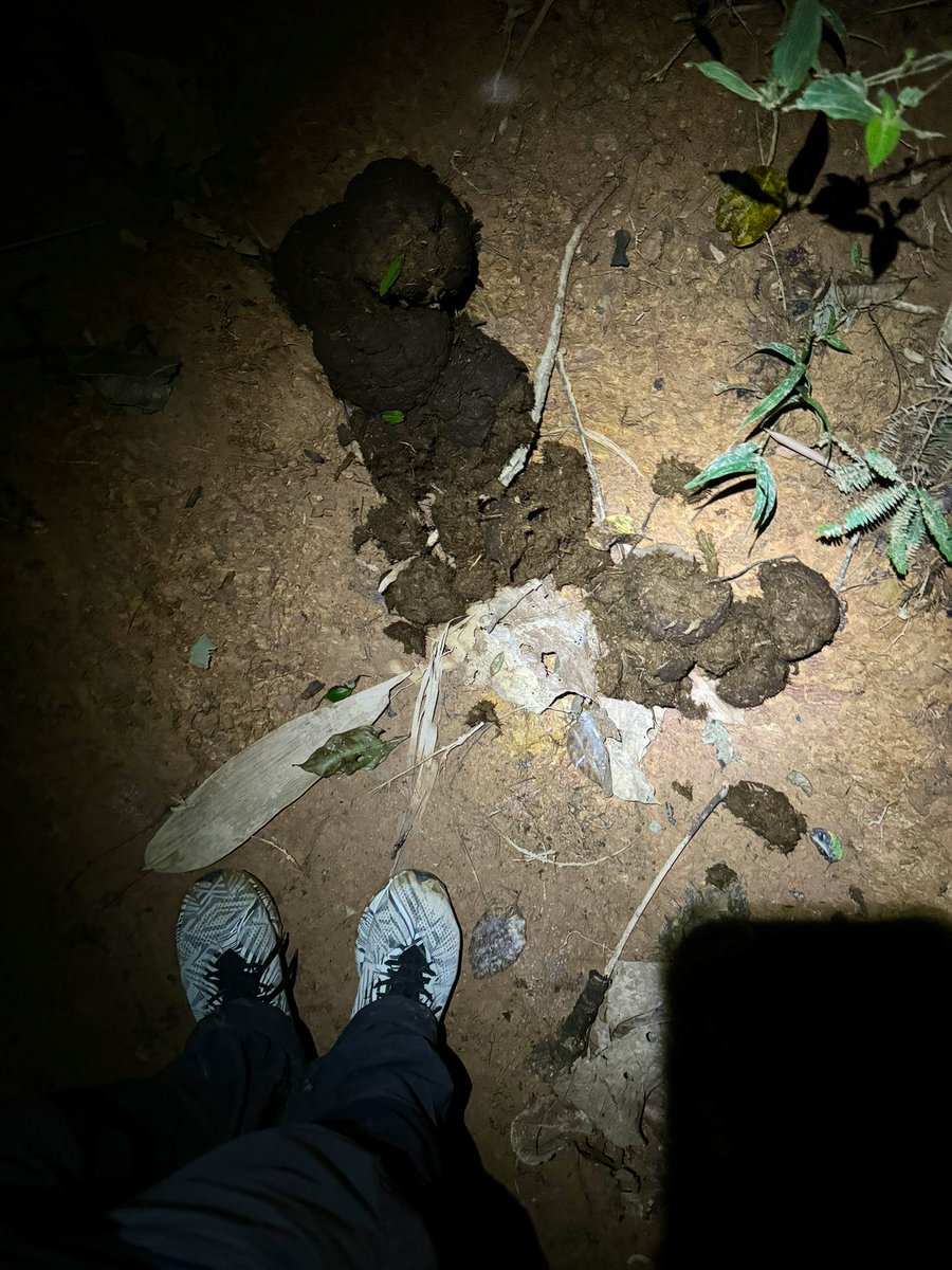 IsaacosmanTV's tweet photo. Baru 30minit hiking jumpa najis ni atas trek. Fresh lagi najis ni. So proceed hiking ke atau patah balik?🥶 https://t.co/R5Nv46F5cn
