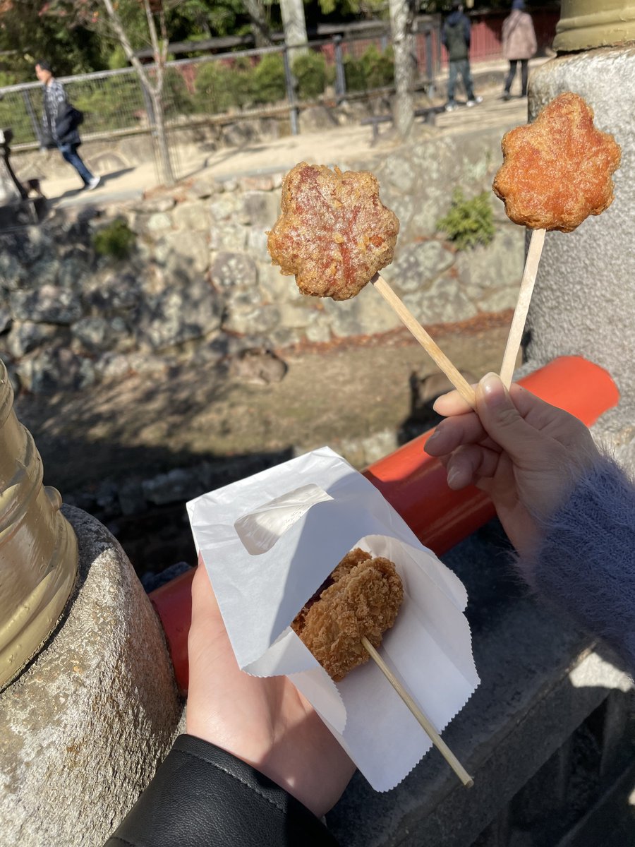 cho_sinobu's tweet photo. 厳島神社👏
今度は御朱印頂きに行きます☺️🙏

 #神社巡り
#御朱印巡り https://t.co/2fgLSvyEGx