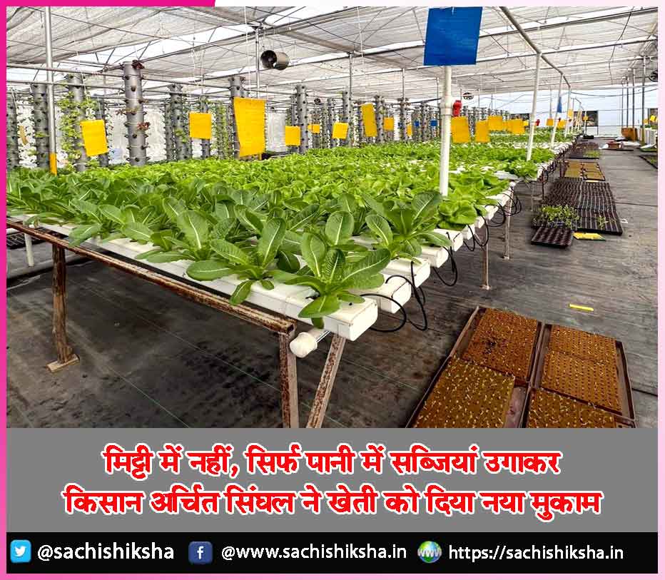 sachishiksha's tweet photo. मिट्टी में नहीं, सिर्फ पानी में सब्जियां उगाकर किसान अर्चित सिंघल ने खेती को दिया नया मुकाम - https://t.co/AhnGqx5qmf