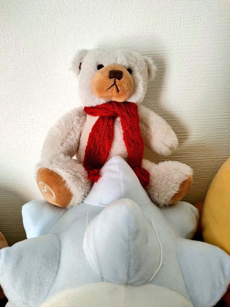 昨日は4人でお疲れさまです会でした
音澪からテディベアとお菓子もらった😊
🧸は今ユキハミ（ポケモン）の上に乗ってます👍