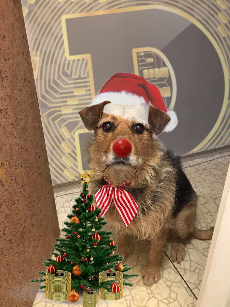 Gyanburā🖌️ tweet media