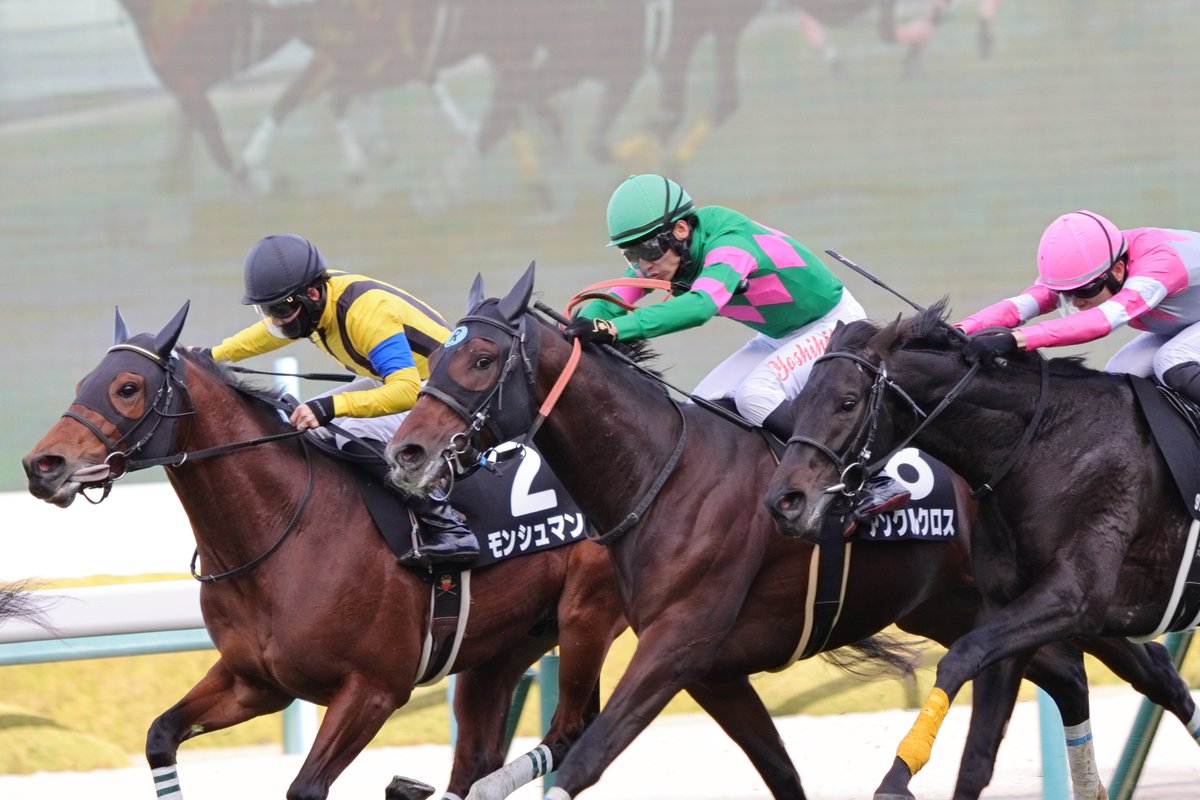 INONECO0706's tweet image. 出資者さんに届くと良いな😊
2023年12月23日
阪神競馬場9R 万両賞
#モンシュマン
#社台サラブレッドクラブ