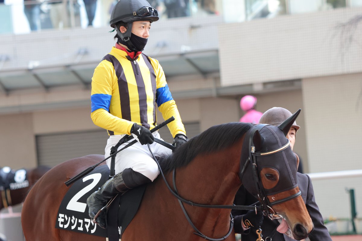 INONECO0706's tweet image. 出資者さんに届くと良いな😊
2023年12月23日
阪神競馬場9R 万両賞
#モンシュマン
#社台サラブレッドクラブ