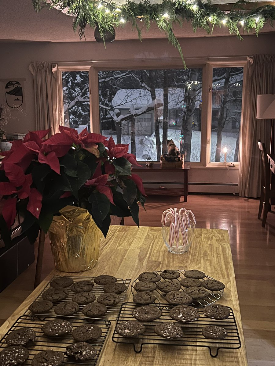 It’s cozy &amp; peaceful here tonight.