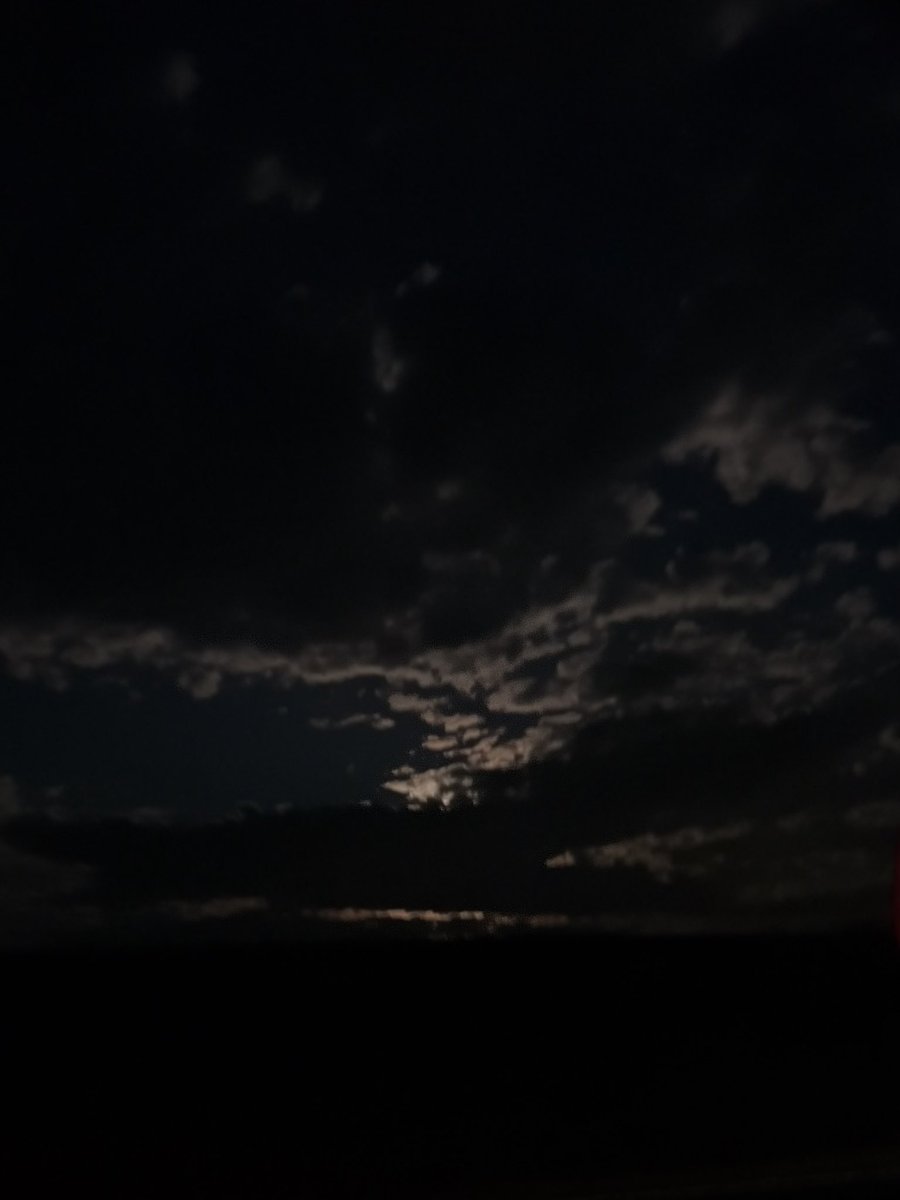 4:35 am cantando "cuando calienta el sol" con mi papá, sin duda nuestro momento más esquizofrénico