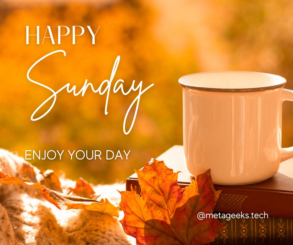 MetaGeeks_tech's tweet image. Happy Sunday #metageeks #sundaywishes