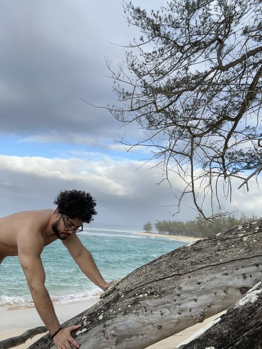 I look like I&rsquo;m about to give the best fucking performance to this log 🪵 😂 https://t.co/VRVcoCBPWj