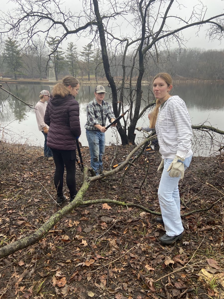 Despite the damp weather, it was a great day of buckthorn removal at Fabyan Preserve! Thanks and Merry Christmas to volunteers everywhere!