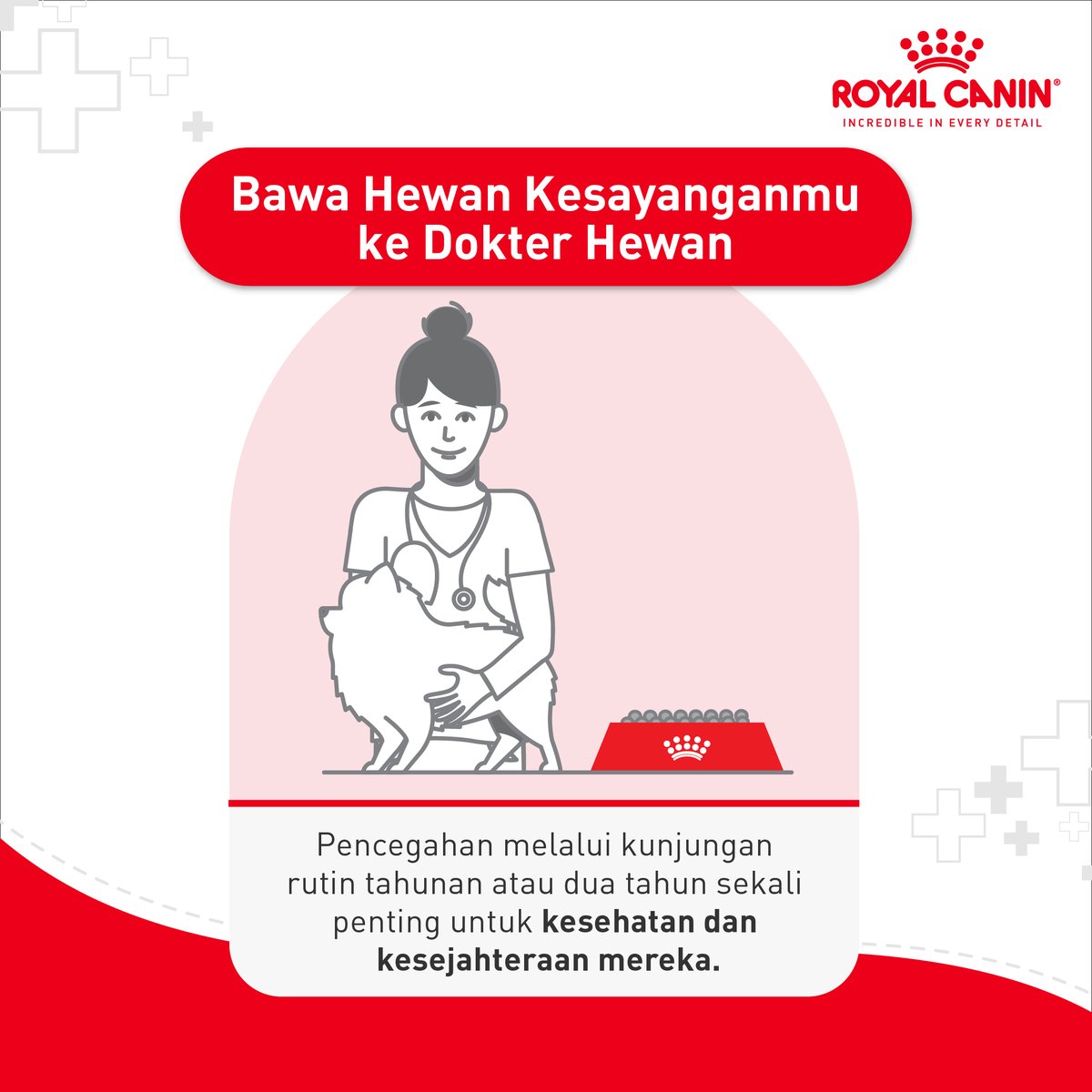 #KarenaKesehatanMerekaBerharga kami percaya bahwa membawa mereka #AyoKeDokterHewan seharusnya bukan hanya ketika sakit saja, melainkan perlu pemeriksaan dan konsultasi rutin tiap enam bulan sekali, atau minimal setahun sekali.
