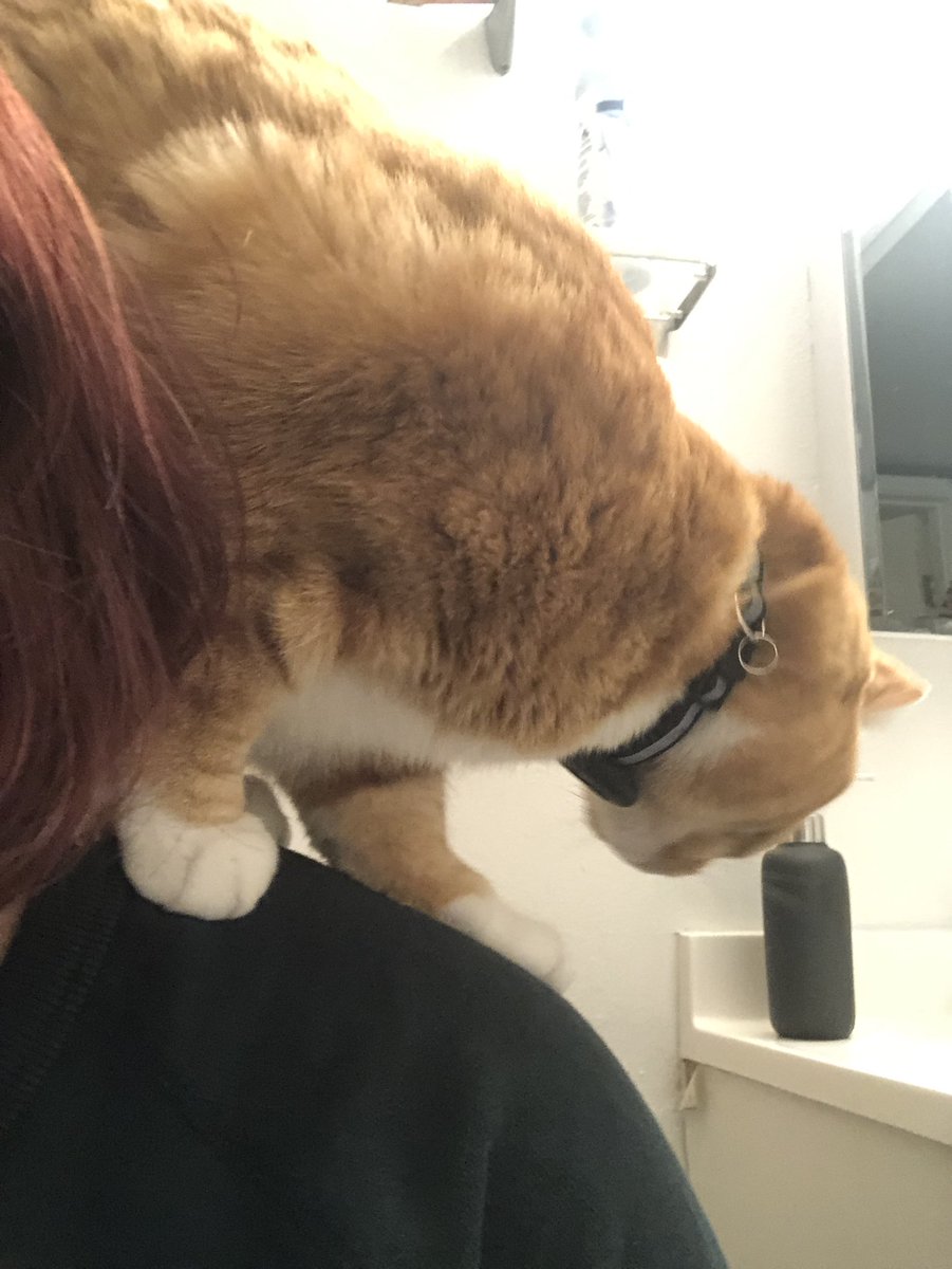 ma’am I appreciate your company but I am sitting literally on top of the toilet