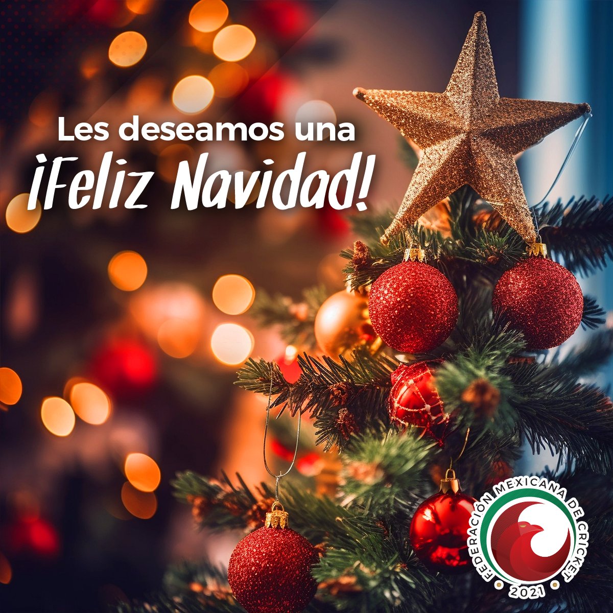 Cricket México tweet media