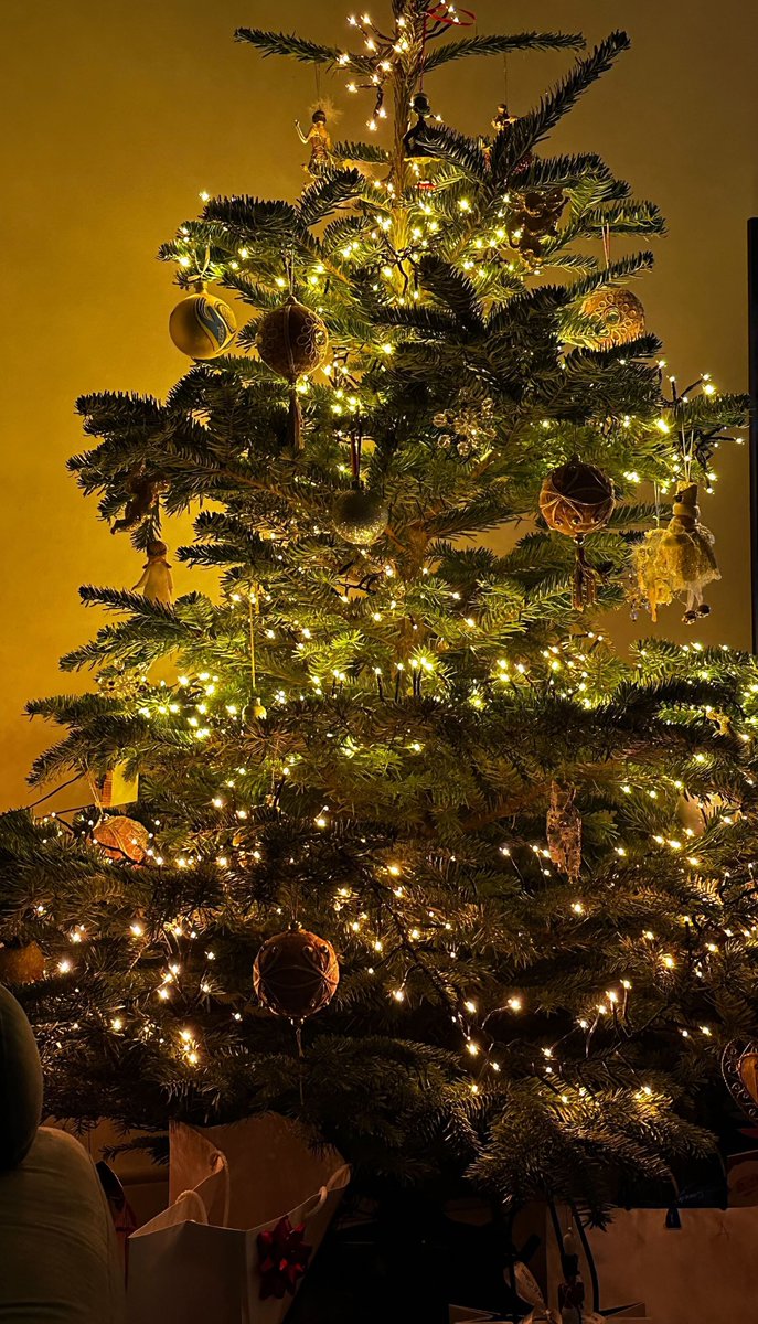Lai svētku siltums ienāk katrā namā un katrā sirdī! Gaišiem mirkļiem un mīlošām domām pilnus Ziemassvētkus! 🎄✨