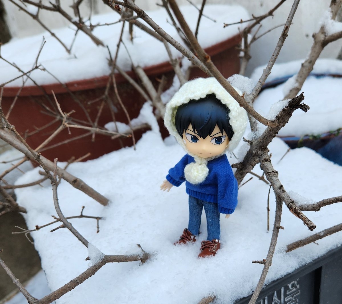 눈오는지도 몰랐는데 아침에 나오니 마당에 눈이 쌓여있더라구요❄️