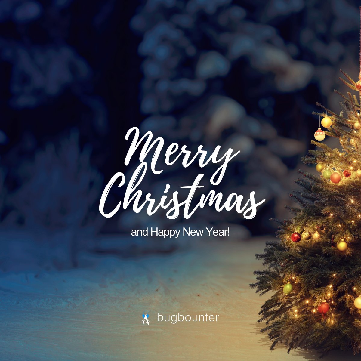 bugbounterr's tweet photo. Dear followers, partners, and Bounters; we wish you all a merry Christmas, and a happy & secure New Year, full of joy, luck, and health! πππ
π» #bugbounter #merrychristmas #christmas2023 https://t.co/M0X9TSfbWW