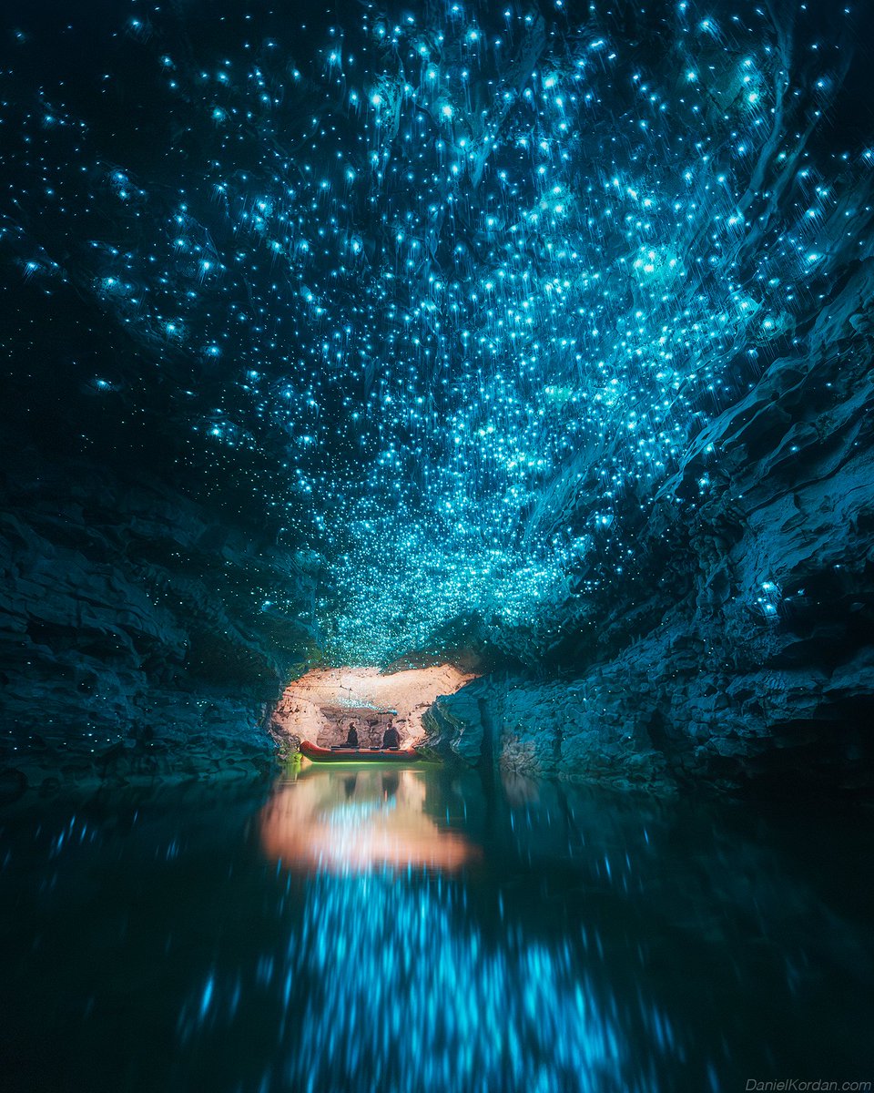 My kind of Christmas lights this year. 2023 started with the most amazing Son Doong cave in Vietnam and finishes now with incredible glow caves of New Zealand. This is the Spellbound cave in Waitomo. It really looks like Avatar in real life with millions of glow worms.