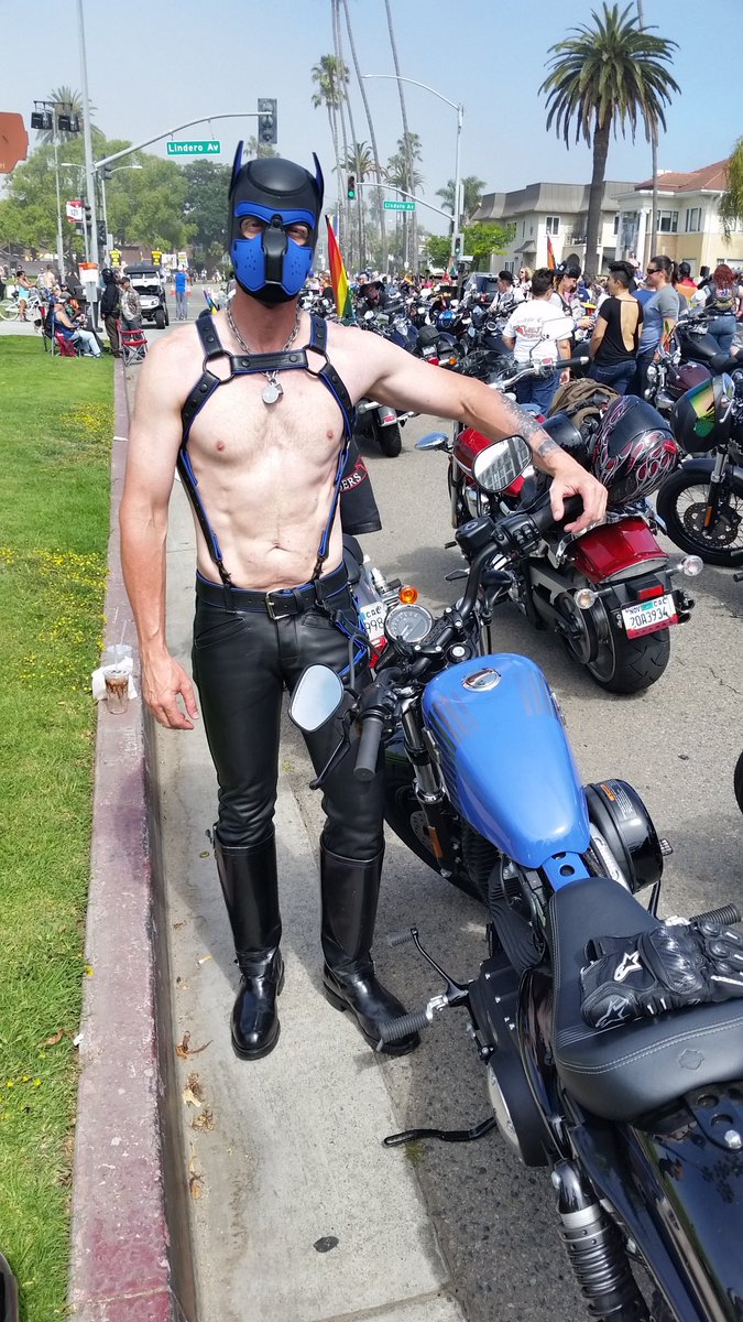 Who wants to learn to ride? 
#LeatherPuppy #LeatherPup #MotorcyclePup #CustomBlue #HumanPuppy #HumanPup #PuppyPlay #HappyPuppy #MrSLeather #GayPuppy #GayPup