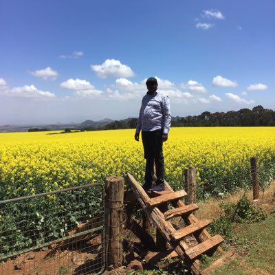 amos warui tweet media