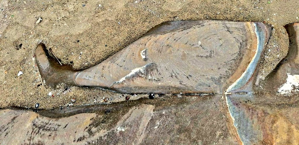 empire_digest's tweet photo. What shape does this rock remind you of...?
-
Step by Step Guide From $0 to $10k+ Per Month 👉🏻👉🏻@empire_digest 
-
#food #love #empire #foodporn #family #meal #travel #luxury #luxurylife #luxurylifestyle #enptrepreneur #business #trending #happy #travelling #rock #shape #guess https://t.co/w8KNkpa325