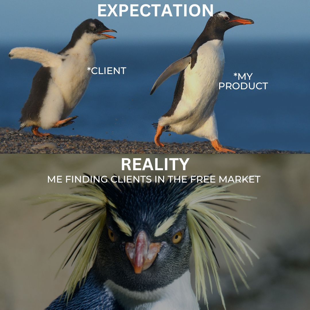 SalesMktgClub's tweet image. Expectation: All the pengs waddling to my goodies like fish at feeding time. Reality: Me on an Antarctic expedition searching for clients like they're the elusive krill.
#ExpectationVsReality #ClientHunt #ProductExpectations #BusinessBlues #BusinessReality #MarketingFails