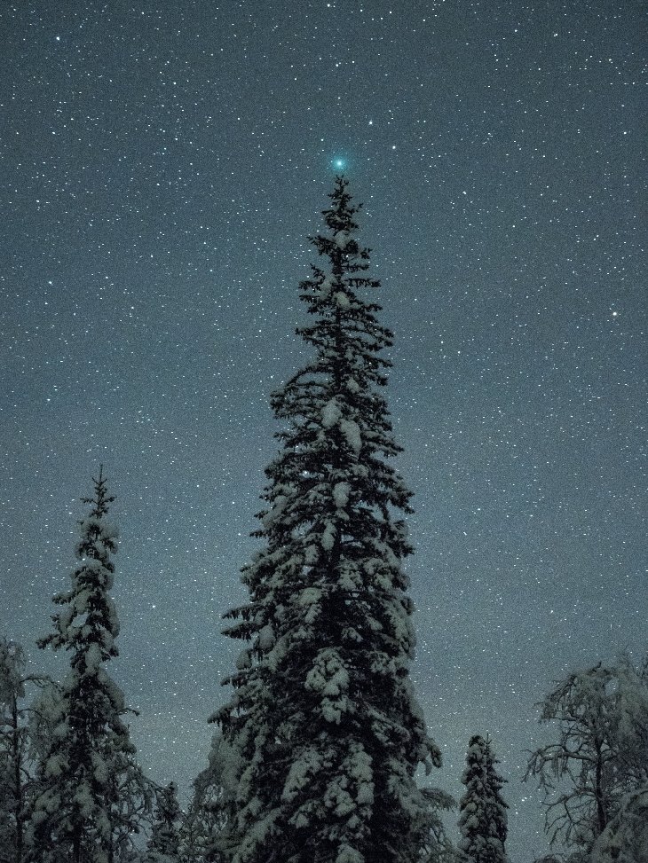 A pine turned into a Christmas tree with the help of a comet, 46P/Wirtanen, from Bleikvassli, Norway

[📸 Tommy Eliassen, 2018]