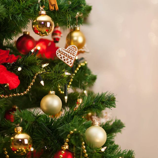 Lai gaiši un svētīgi Jēzus Kristus piedzimšanas svētki - sirdsmieru, lielisko veselību, panākumus, daudz pārsteidzošu atklājumu un izdošanos, kā arī vēl vairāk dzīvespriecīgu brīžu ikdienā!