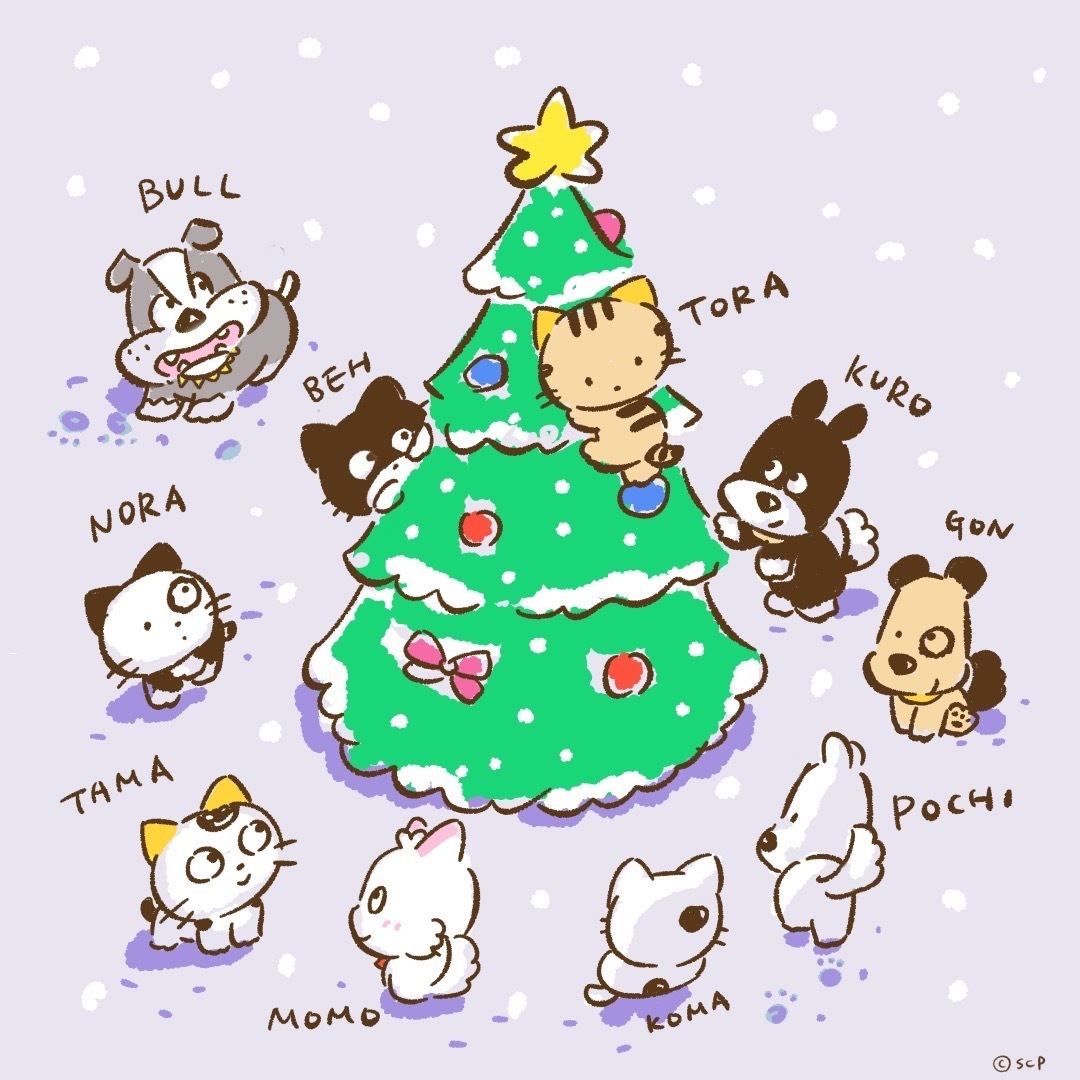 今夜、サンタさんが来るんだって。 #クリスマス #クリスマスイブ #うち