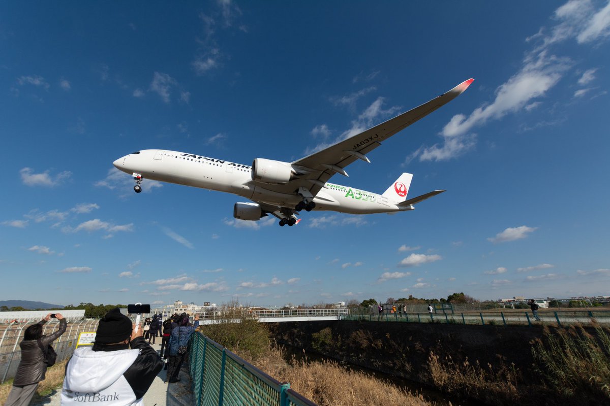 AKI86TV_K's tweet photo. JAPAN AIRLINES
A350-900
JA03XJ

伊丹で350の定期便撮るの何気に初めて
2021年にJA05XJがボーディングブリッジチェックしにきたぶりちゃうかな
函館からのWL付きB6も添えて https://t.co/5ao3d9Q84E