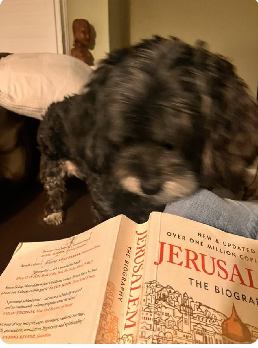 S Sebag Montefiore tweet media