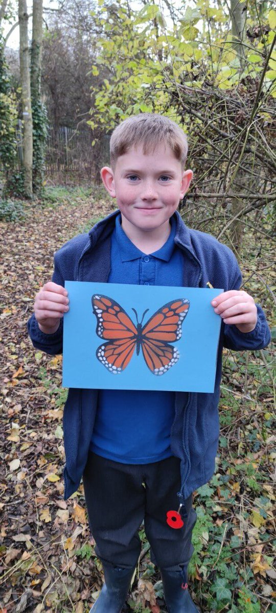 astonhallschool's tweet photo. 🌲🍂Y6 have had a fantastic time this half term taking part in POPs outdoor learning in the wild area every Thursday. Each lesson has built on our current classroom learning. 

See our website for the full story and more pictures:
https://t.co/4qLcR6HgJD https://t.co/yf2uORFfSq