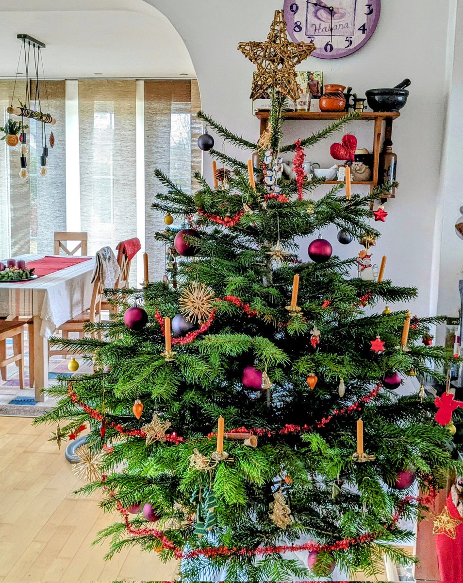 Rosen sind rot
die Tanne ist grün
Veilchen sind blau
Ich bin's noch nicht
Weihnachtsgedicht.

Wünsch euch ein schönes Weihnachtsfest 🎄🤗