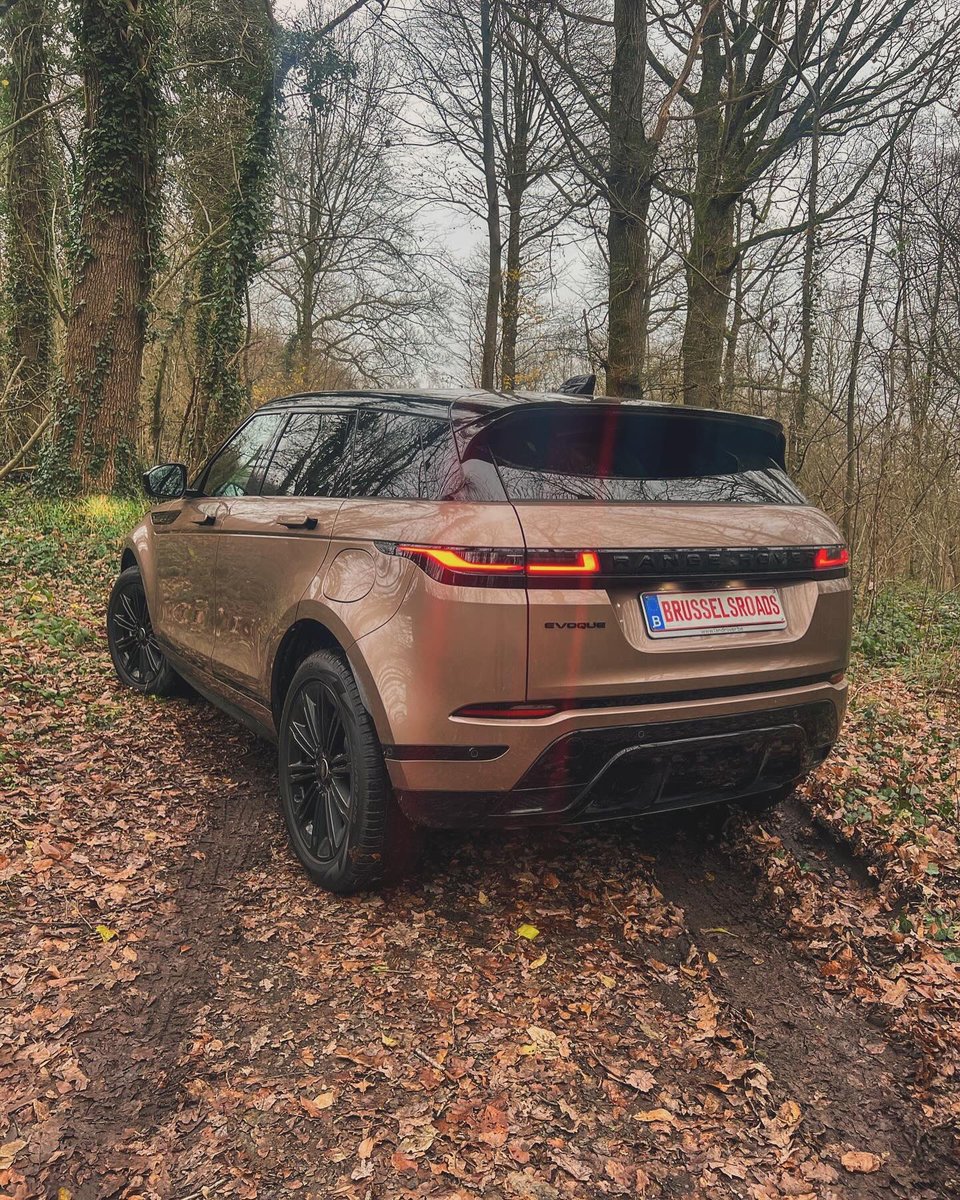 brusselsroads's tweet photo. Le tout nouveau Range Rover Évoque vous propose quatre modèles pour son Millésime 2024. Les dernières technologies d’infodivertissement, la sophistication du design et l’innovation, définissent la nouvelle norme pour l’Évoque.

#rangeroverevoque #landrover #brusselsroads https://t.co/DOWjSdvt6L