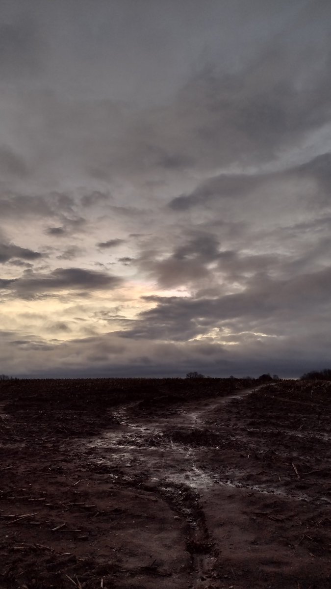 Michael⛅ tweet media