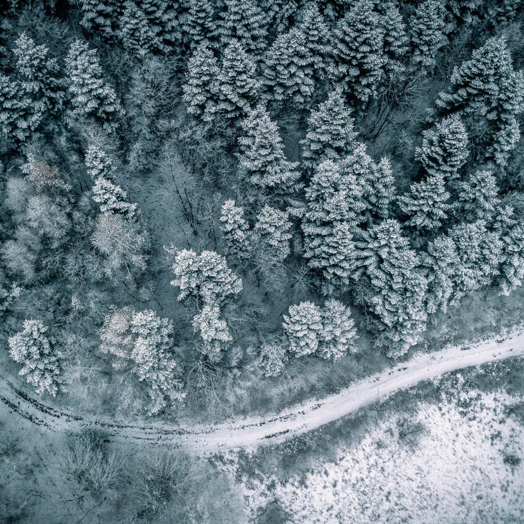 🎁 Get the perfect shot this holiday season with the
<a href="/djiglobal/">DJI</a> Mini 4 Pro. Available to order via our drone store with a full set-up guide and explanation video!

▶️ow.ly/ncBT50Qj65

#giftideas #dji #drones #dronestore