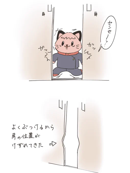 🎄と全く関係ない肩強ゆじさん
自分の肩幅を知らない🐱 