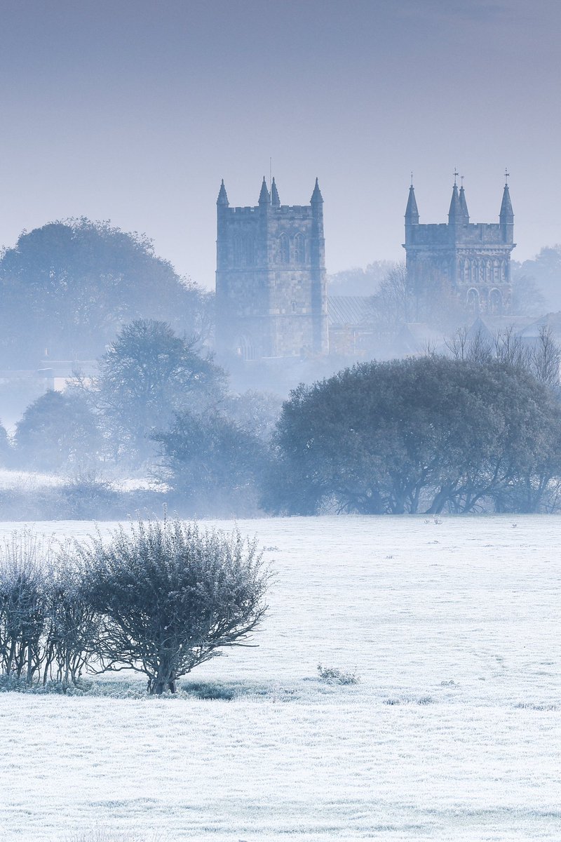 𝐌𝐚𝐭𝐭 𝐏𝐢𝐧𝐧𝐞𝐫 tweet media