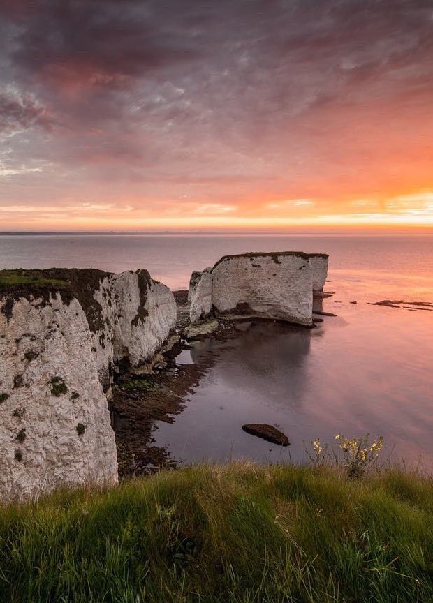 𝐌𝐚𝐭𝐭 𝐏𝐢𝐧𝐧𝐞𝐫 tweet media