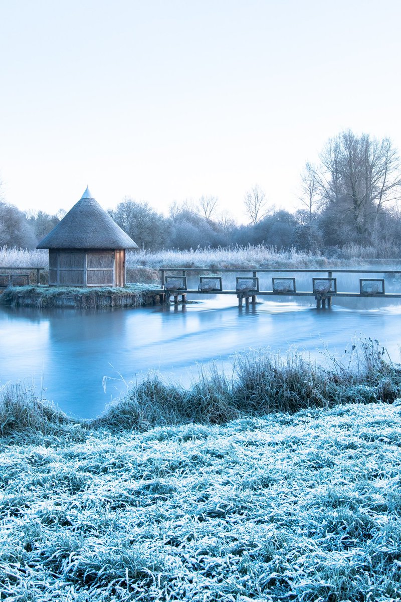 𝐌𝐚𝐭𝐭 𝐏𝐢𝐧𝐧𝐞𝐫 tweet media